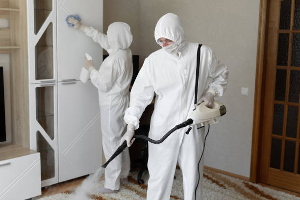Best Black Mold Removal  in Martsville, IN