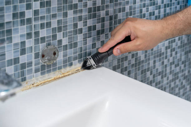Best Mold Removal Near Me  in Martsville, IN